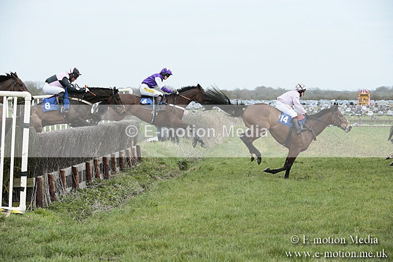 PtP 230319 190 - VWH Hunt Siddington Point-to-Point Racing 23/03/19
