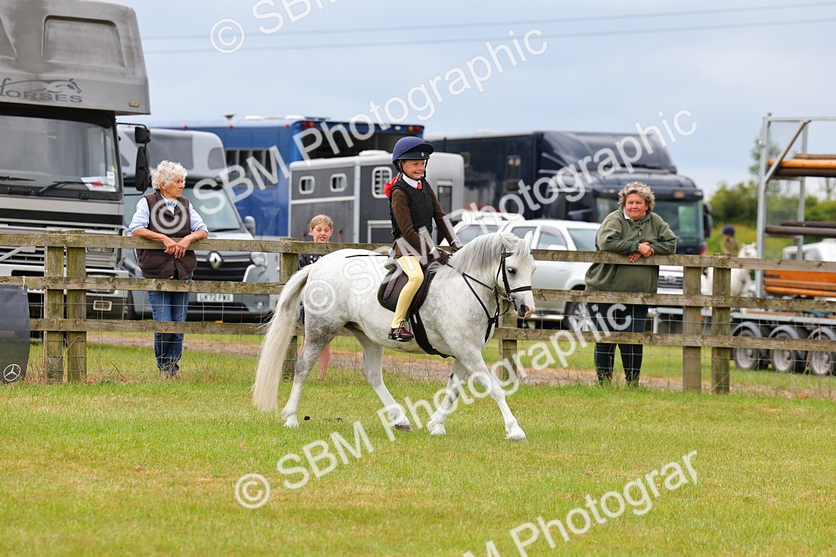 SBM_08622 - Class 42-43 - LIHS BSPS Heritage Working Sports Pony