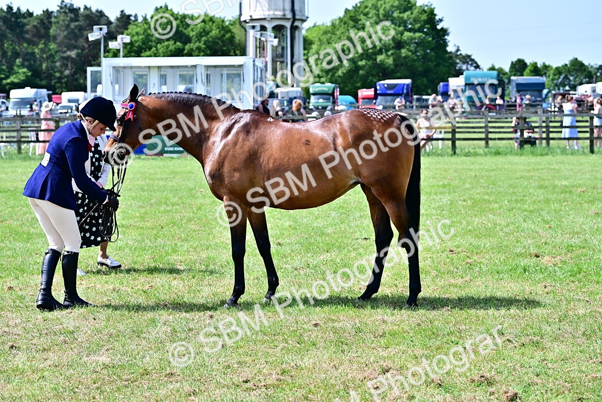 SBM_03860 - Class 58 - TSR  Ridden Veteran Amateur of the year
