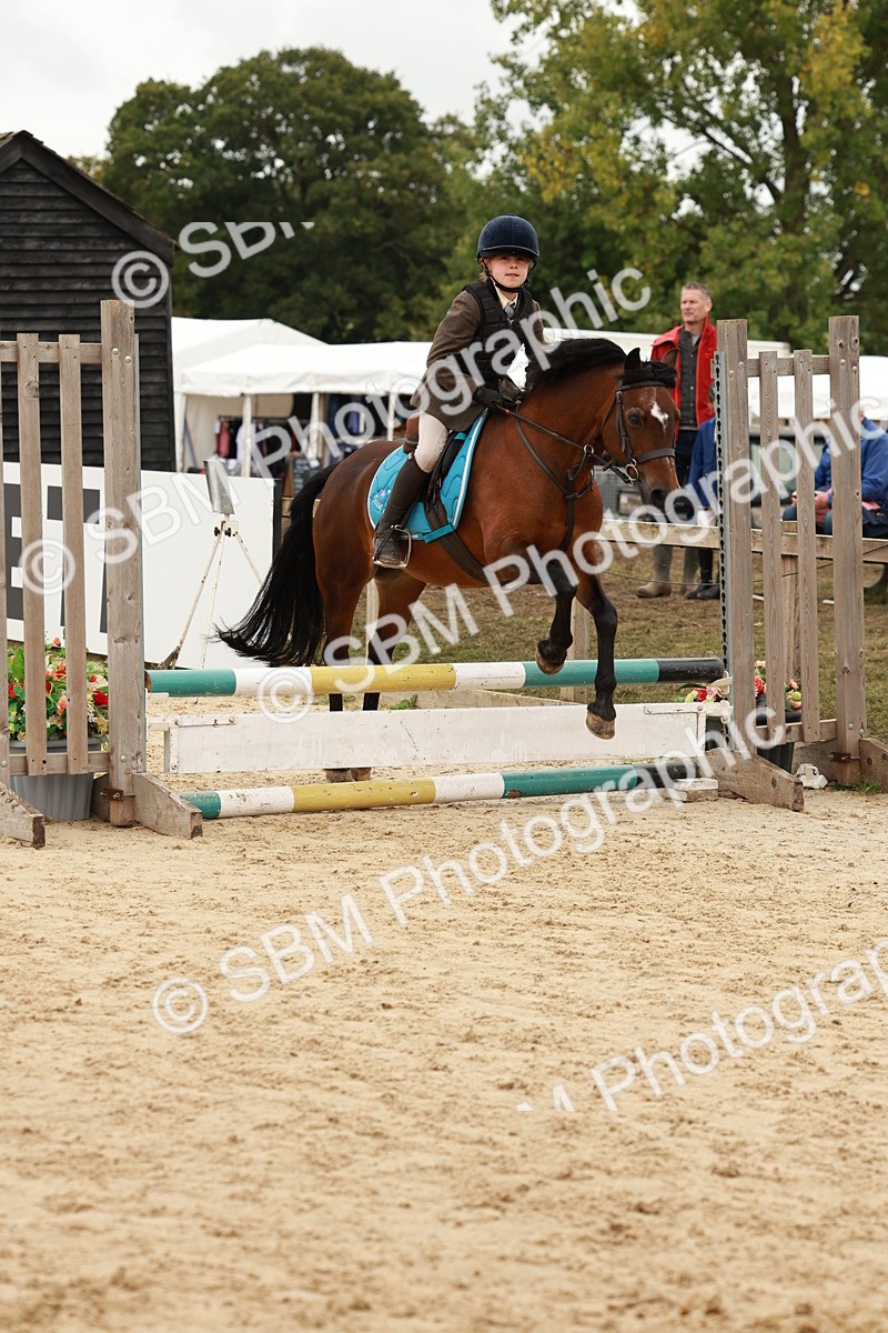 SBM_61878 - J12 - Junior Pony 55cm Championship
