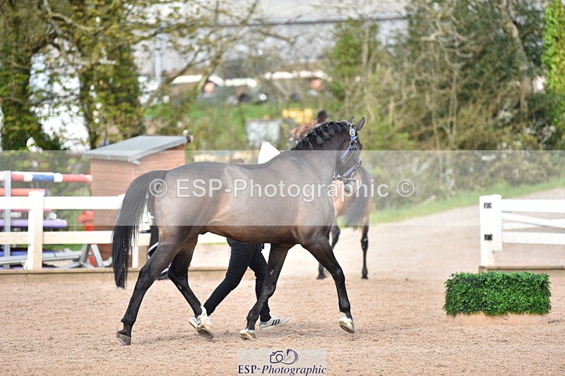 240417A-154154-00962 - 3pm to 4pm