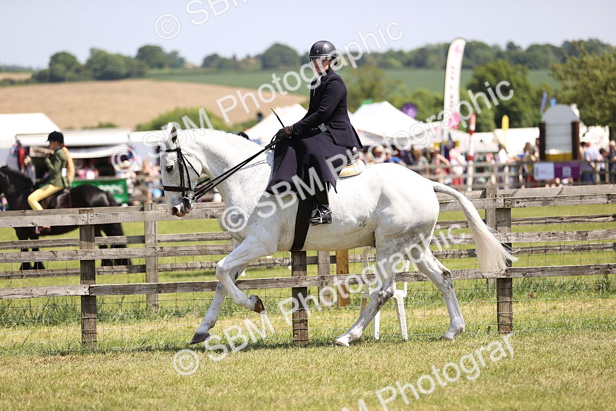 SBM_15095 - Class 79-80 - LIHS BSHA Rising Star Ridden Hunter