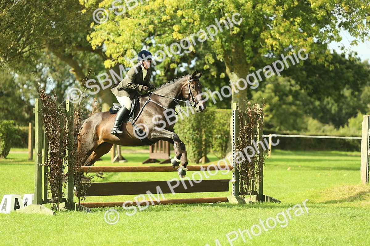 SBM_48028 - S32 - Novice & Newcomers Working Hunter