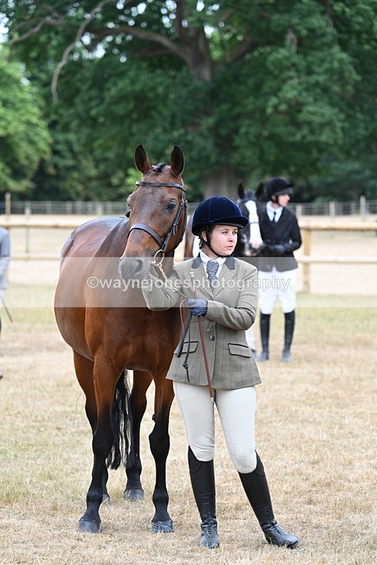 WJ7_9232 - Class 4a Prettiest Mare 14.2hh and over