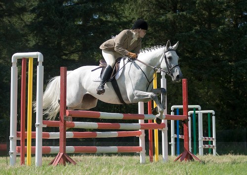 118 - Moniaive Horse Show 2008