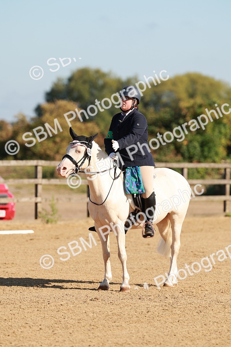 SBM_009110 - Class 1 - Intro 2