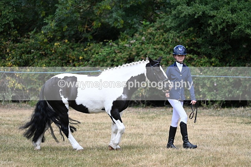 WJ7_1678 - Class 4 Prettiest Mare up to 14.2hh in hand