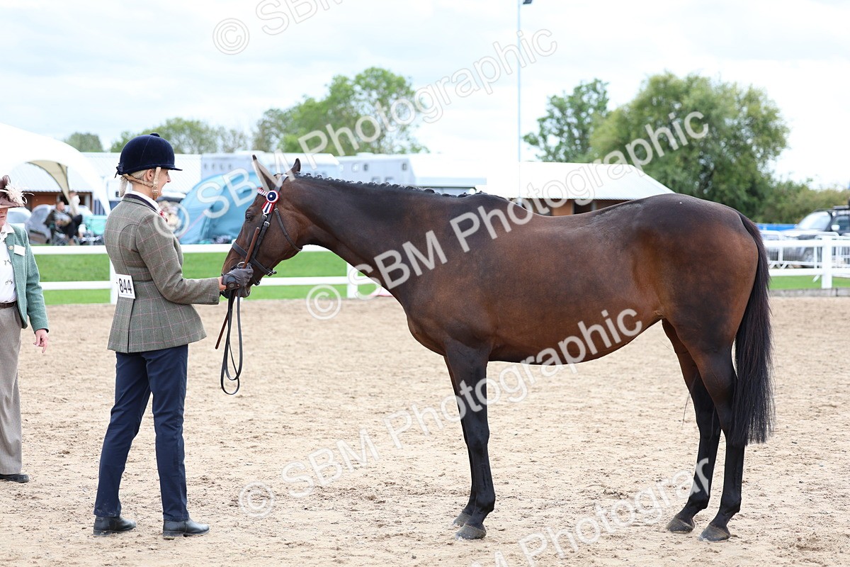 SBM_05762 - Class 28 - IH Veteran Horse