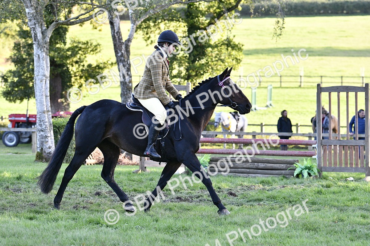 SBM_53577 - S14 - Riding Club Horse