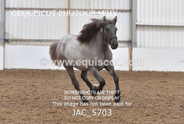 JAC_5703 - 6 Glenmuir Niamh