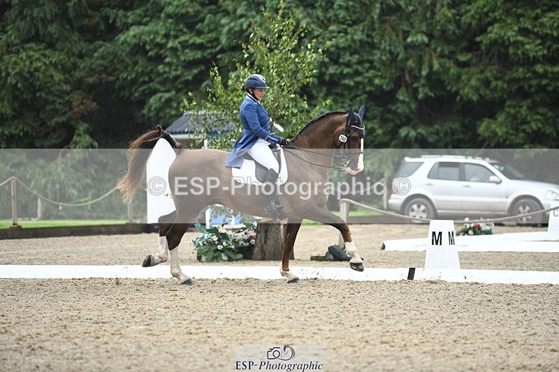 240720-143547-05705 - 142-Amberley_Pugsley-Hero_A