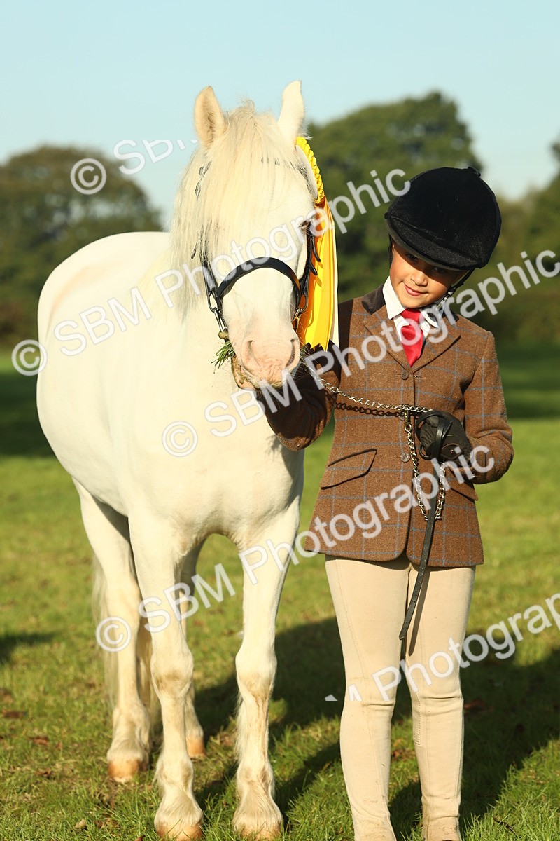 SBM_58516 - S37 - Starters In Hand Showing