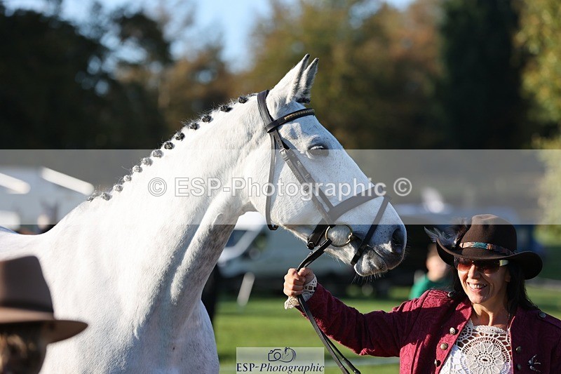 241027-090310-14995 - 446-Jacqueline.Cole-MIDNIGHT.MOON.DANCER