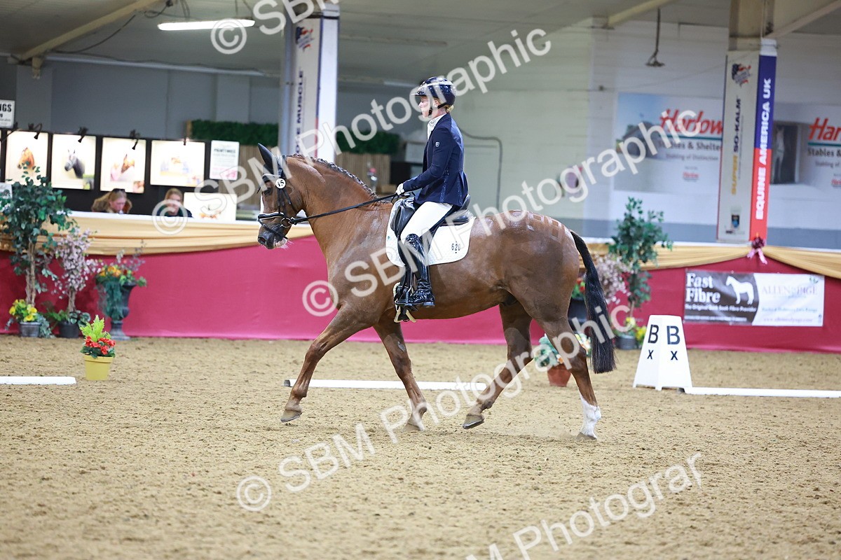 SBM_06678 - Class 61 - Dressage to Music