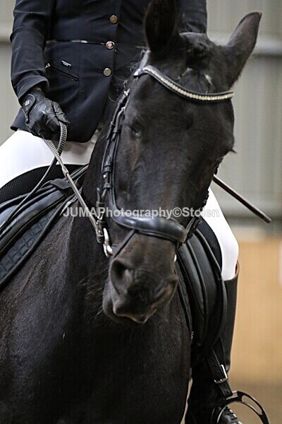 SIAL3105 - Sunday 14th Ridden