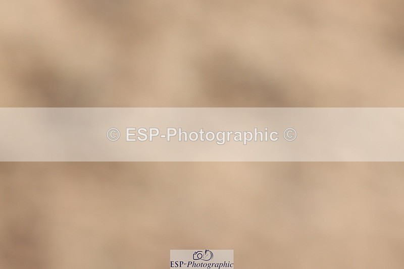 250622-094246-13915 - Cls 44 Prelim 5, 9.20 to End