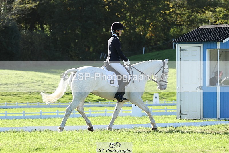 251024A-143936-14084 - F-479-Poppy.Wellman