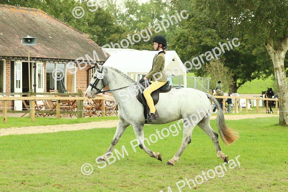 SBM_74048 - S 61 - Show Pony & Show Hunter Pony Ridden