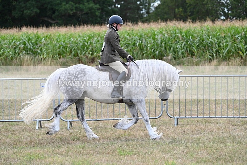 WJ7_5263 - Class 12 Ridden Cob