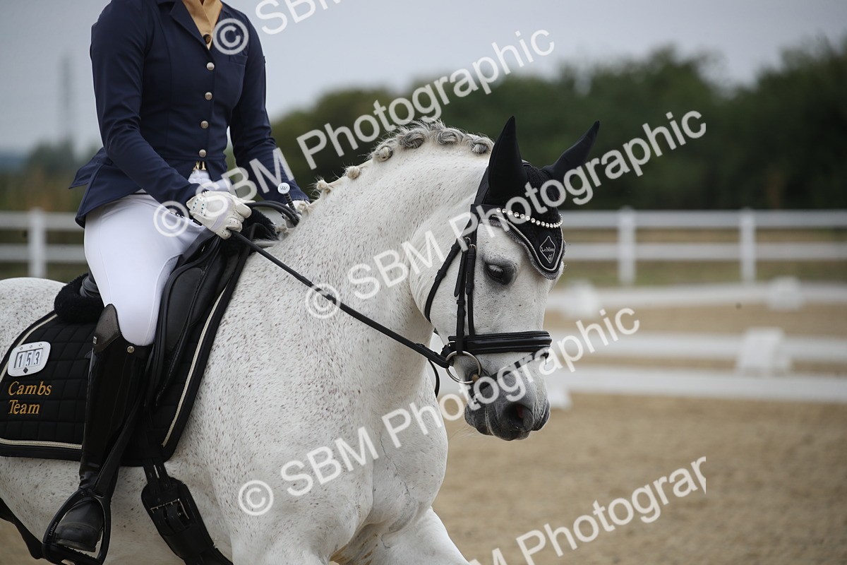 SBM_005559 - Novice 5 - 8.30.10.39