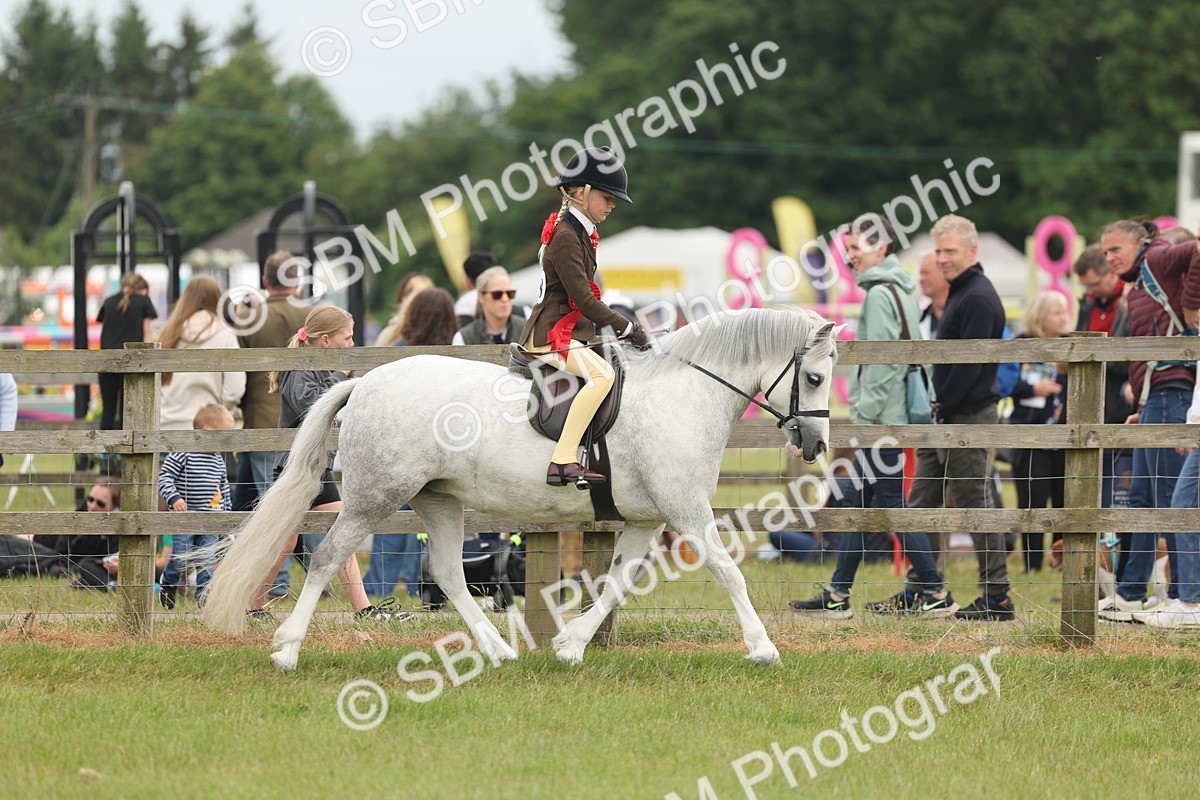 SBM_06924 - Class 74-75 - M&M Lead Rein and First Ridden Pony