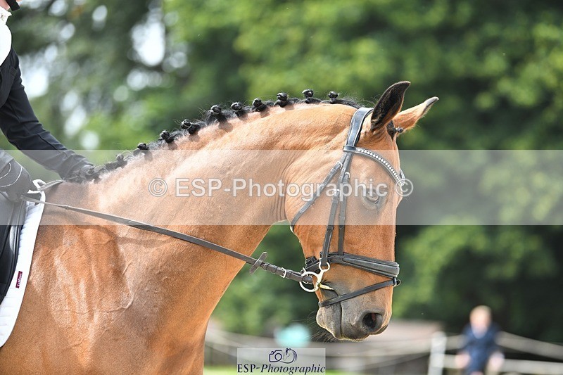 230812-131016-04280 - Cls 6 Novice Silver 12.10 to End