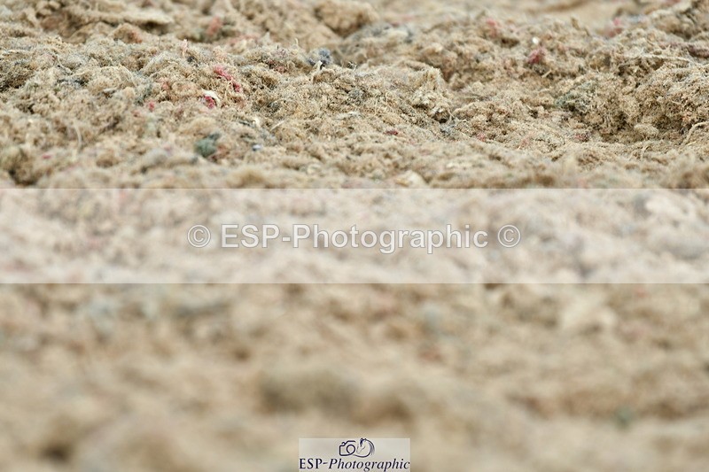 230702A-123306-09657 - Cls 28 Elementary 45