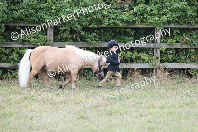 20250831-3021 - Class 23 - Child Handler