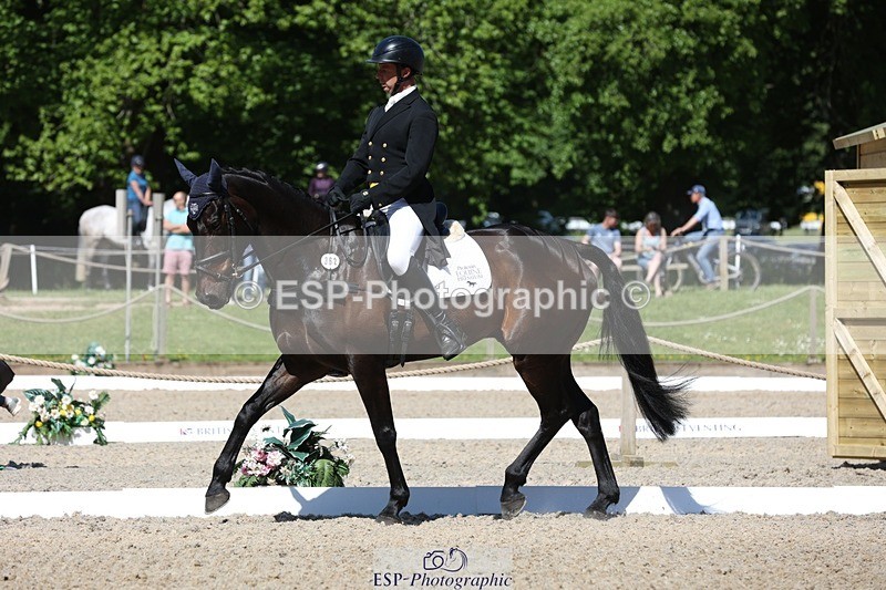 230526-103118-05274 - 362-SPIRIT'S_GEMINI-Harry_Dzenis-WEDTrotUp+DR