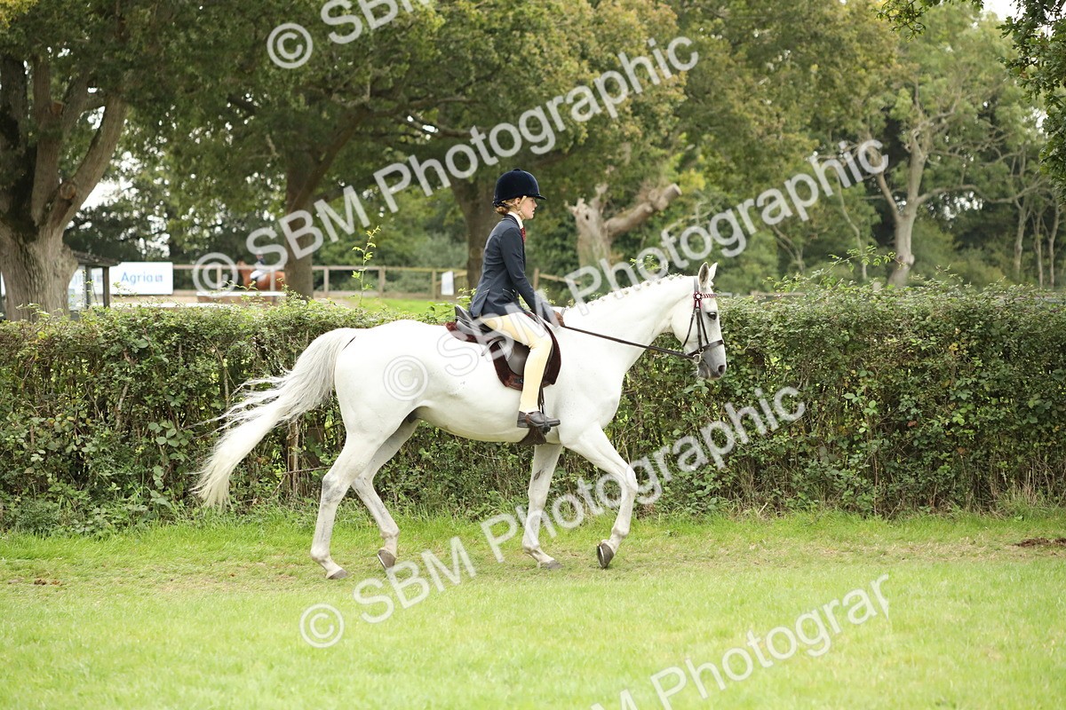 SBM_73690 - S41 - Ridden Equitation (Best Rider)