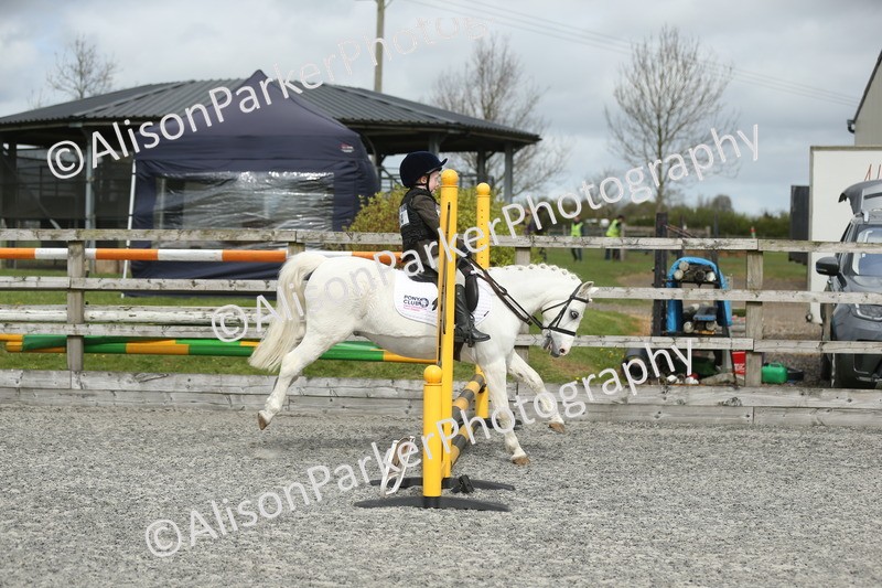 20260412-0707 - Show Jumping