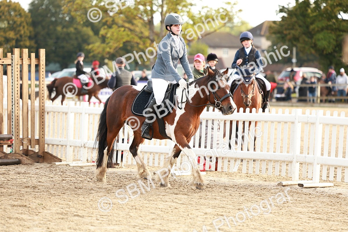 SBM_55460 - J11 - Junior Pony 50cm Championship