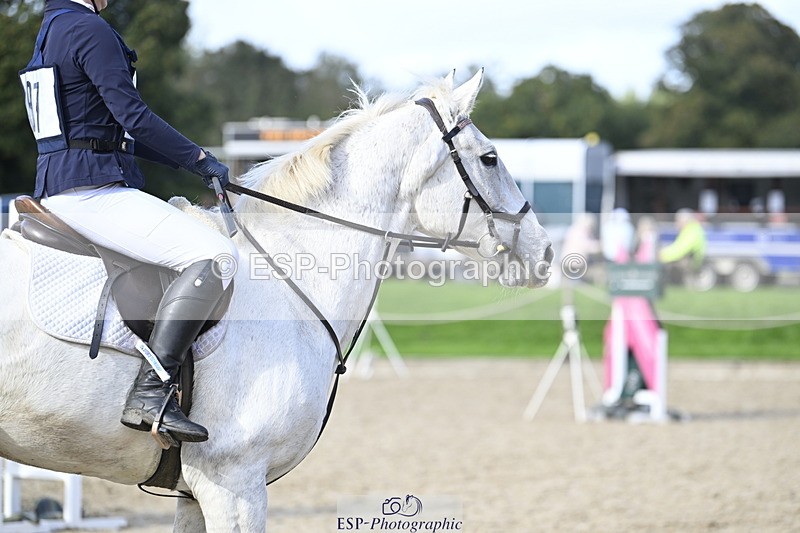 251005A-144218-04543 - Cls 09 Nov 80-85cm