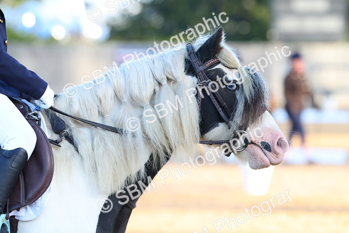 SBM_33438 - D26 - Test Starter Test 1