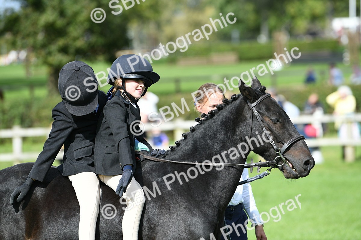 SBM_46977 - S12 - Family Horse & Pony