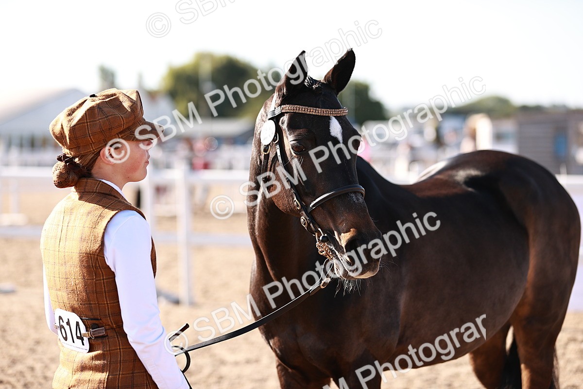 SBM_11433 - Class 402 - IH  Veteran pony