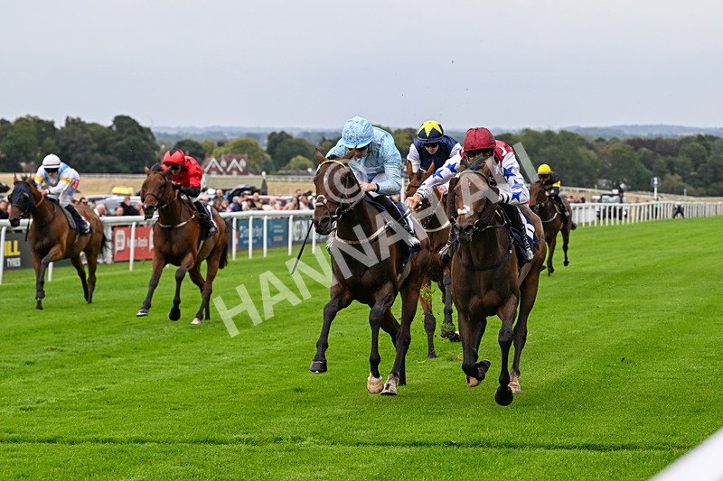 290826-Race 3-Fans Favourite-6471 - Race 3 2.55pm Dearing Plastics Celebrating 40 Years Handicap