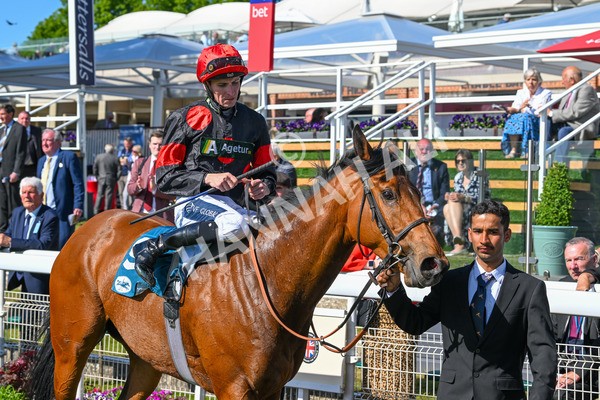 140525-Race 5-Rare Change-2803 - Race 5 4.18pm Conundrum HR Consulting Handicap