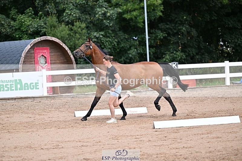 250716-131223-00401 - Trot Up 12.30 to 1.30