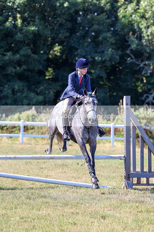 3E7A5453 - Class 3: Working Hunter 70cm