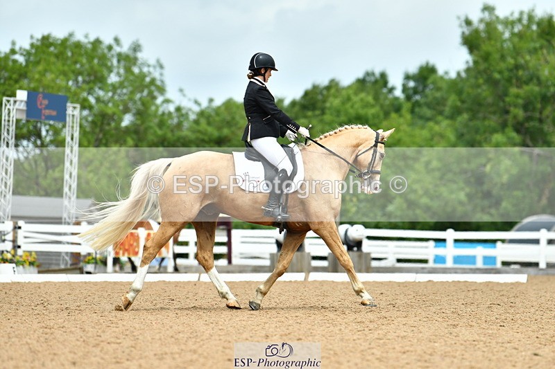 230702A-121813-09591 - Cls 28 Elementary 45