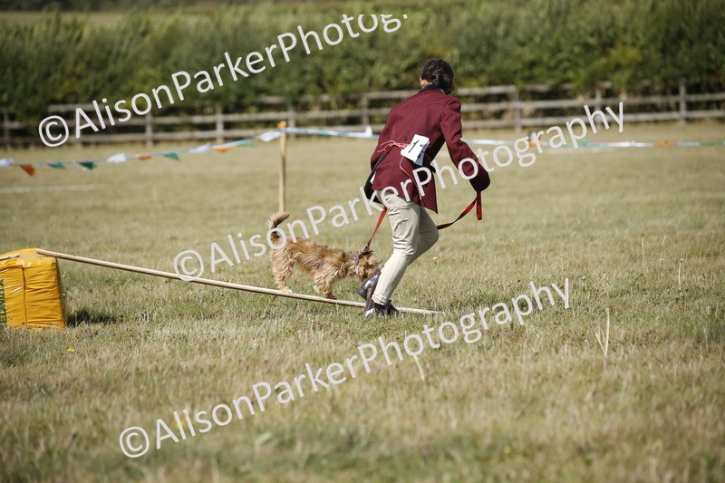 20250831-3824 - Dog Show