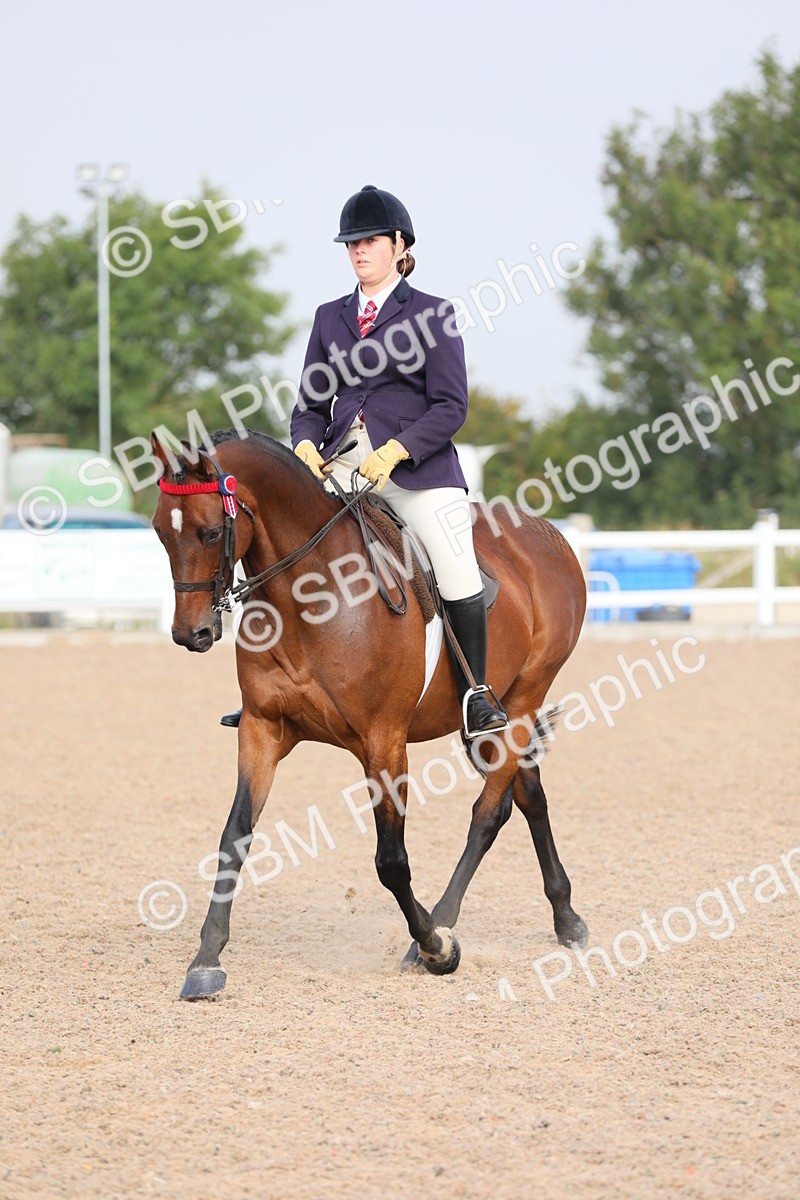 SBM_10883 - Class 304 Ridden Part Bred Horse/Pony