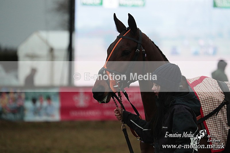 PtP 260125 955 - Cocklebarrow Point-to-Point racing with the Heythrop Hunt 26/01/25