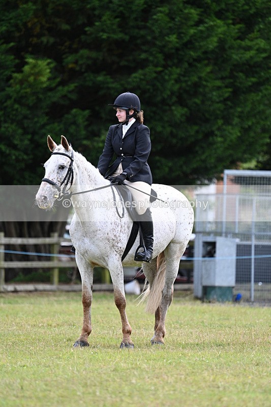 WJ7_8513 - Class 7  Riding Club Show Horse