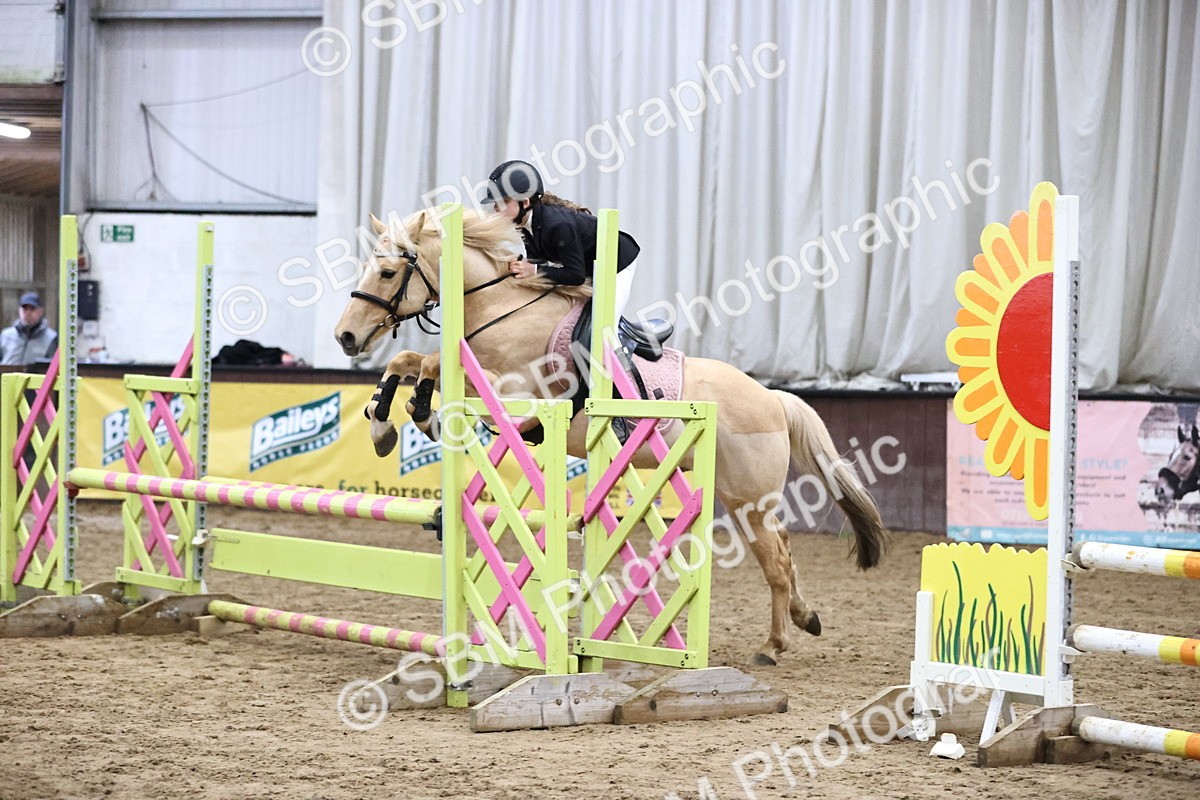 SBM_000345 - Class 2 - Pony British Novice - 80cm