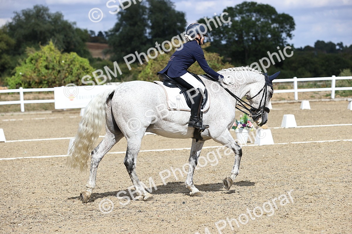 SBM_015185 - Class 5 - E5 Bronze 14.42.15.54