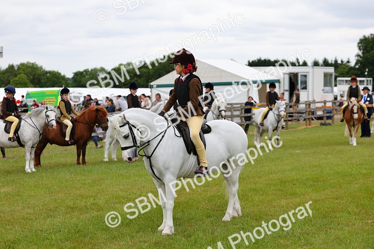 SBM_08729 - Class 42-43 - LIHS BSPS Heritage Working Sports Pony