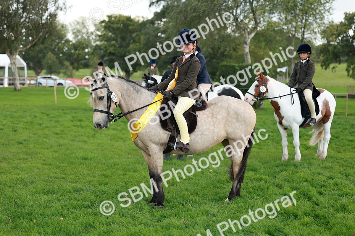SBM_28876 - S7 - Novice & Newcomer Ridden Pony