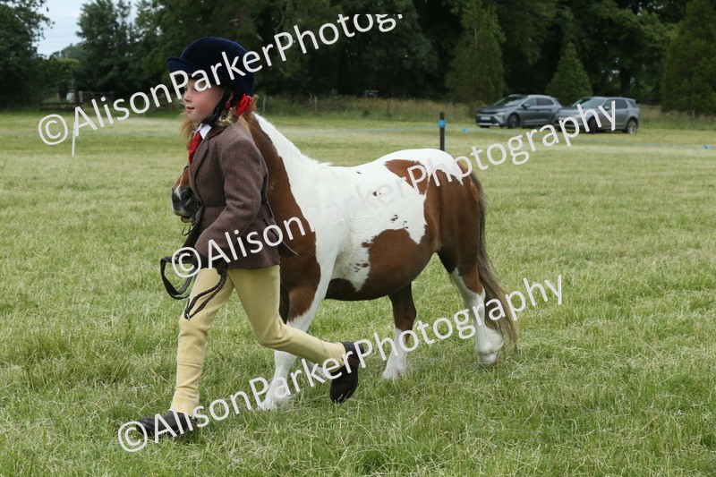 20260614-4300 - Class 18 - Best Junior Handler